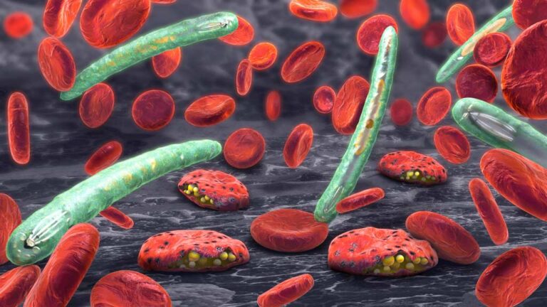 laboratorio de inmonohematologia molecular