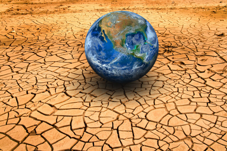 crisis climática y alimentación