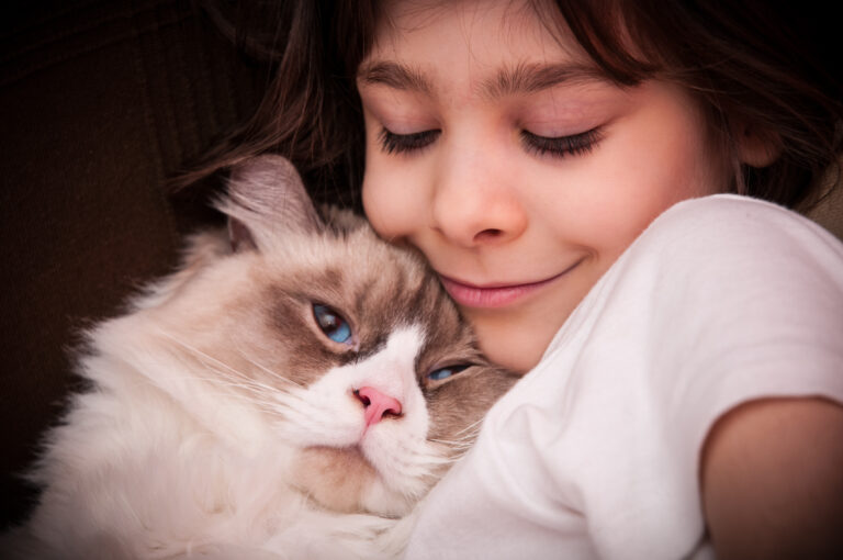 Los gatos y el autismo en los niños