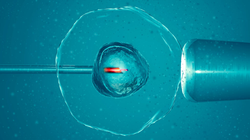 ¿Preservar la fertilidad es posible?