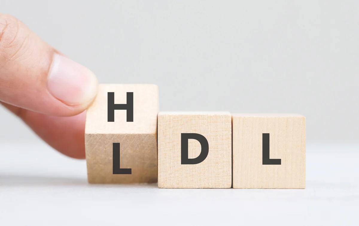 El colesterol HDL: por qué dejar de llamarlo el "bueno" de la historia y su rol real en el riesgo cardiovascular
